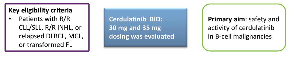 Phase 2 Study of Cerdulatinib in R/R B Cell