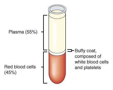 Blood Hematology- the study of blood, blood forming tissues, and the disorders