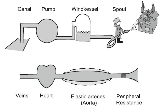 The concept of Windkessel Windkessel literally means air chamber and is a German translation of a concept described by Stephen