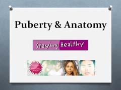 So as we go through this information, I want you to think about how puberty relates to pregnancy and STI prevention. Teacher note: The teacher script shows what to read for each slide.
