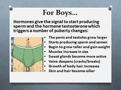 Puberty is when your body begins to grow and develop. It is a time of transition from childhood into adulthood where both physical and emotional changes occur.