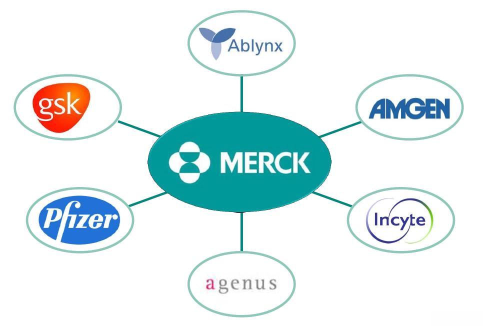 Merck seeks Collaboration to Target the Immune System in different