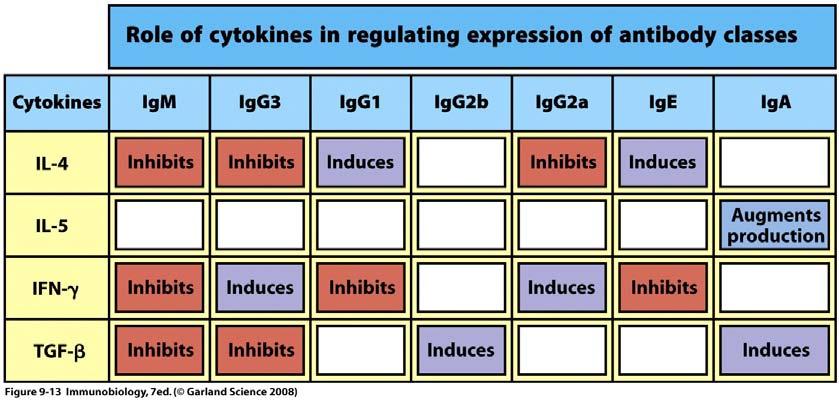 Different cytokines preferentially promote or