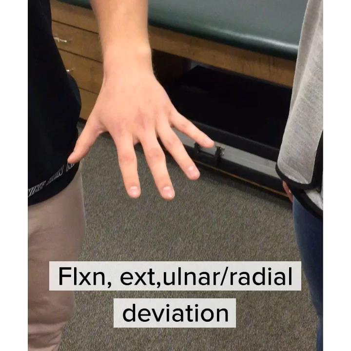 MMTs Flexion Extension Ulnar deviation