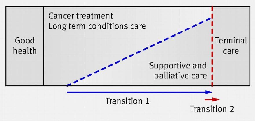 Palliative care terminal care.