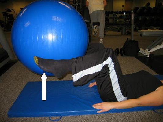 Supine Ball Lifts Lie on back.