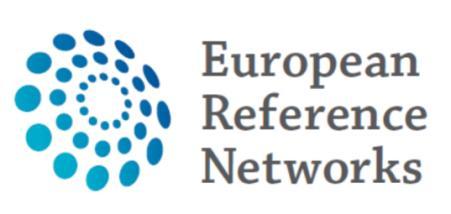 II European Reference Network Conference From planning to implementation Lisbon, 8-9 October 2015 Health care guidelines,