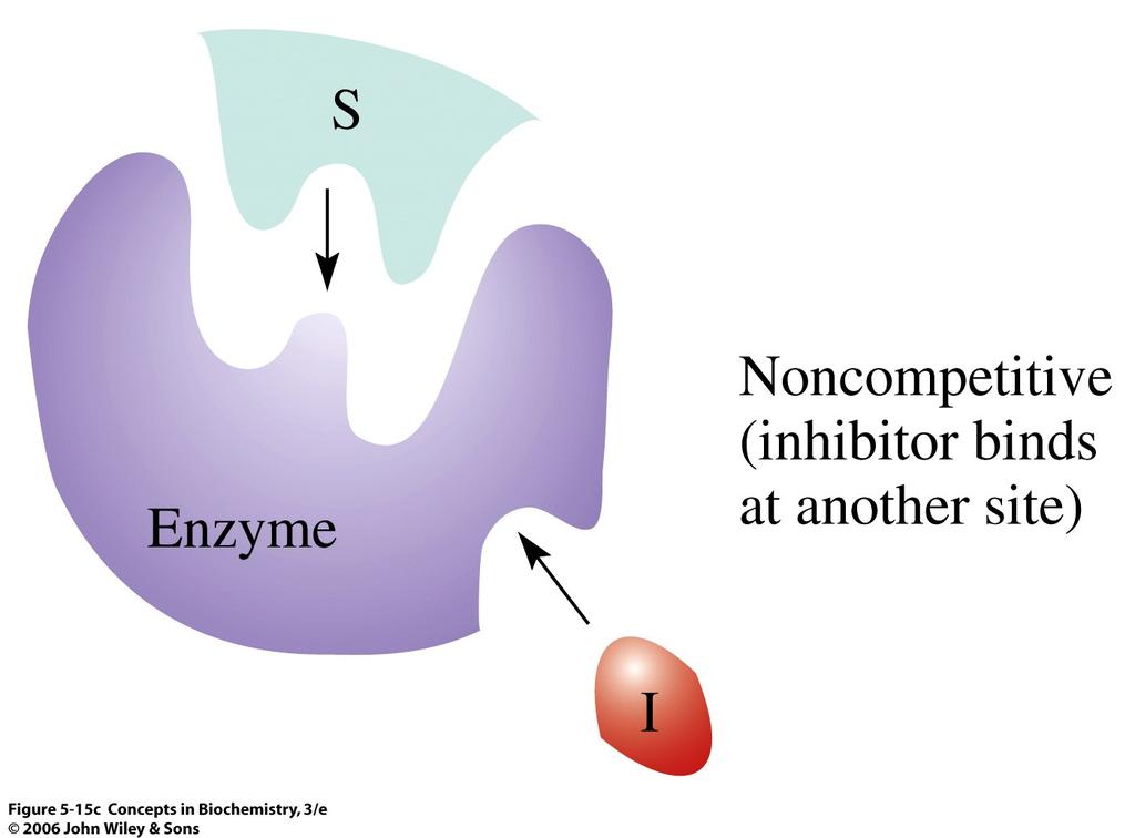 2. NON-COMPETITIVE INHIBITORS - Inhibitor binds to a site OTHER than the active site - Binding causes a change in the structure of the enzyme so that it