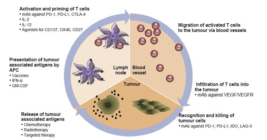 Introduction: Therapeutic approaches to target the cancer immunity cycle