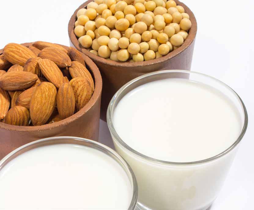 Soymilk Processing and Cereal Drinks