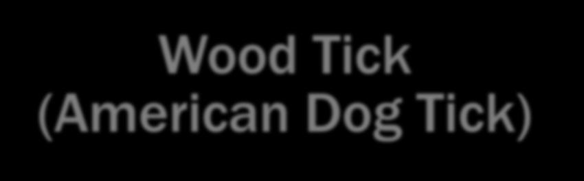 (American Dog Tick) Blacklegged