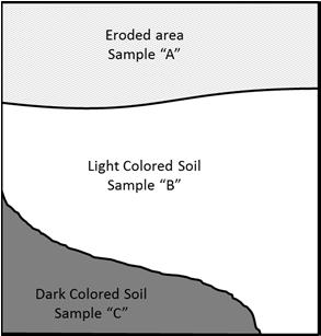 The first step is to determine the area that will be represented by the sample.