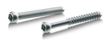 Cortical and cancellous screws can be used in traditional methods lagging fragments or