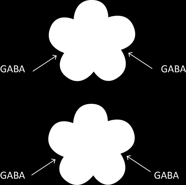 GABA A receptor-channel 8 α, β or