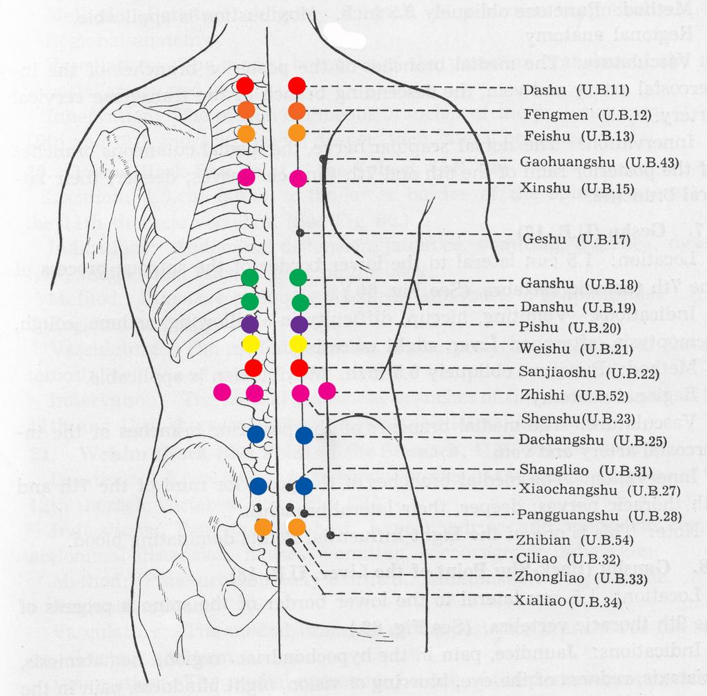 Chart 1 Face Reading Color Selection Associated Facial Region Energy Center Associated Organs Yang Color Yin Color Forehead 1 - Root intestines, Red Green/Blue bladder Center of brow, 2 - Sacral