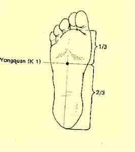 Bladder begins above eyes Ends lateral surface little toe Kidney begins center of plantar surface of foot