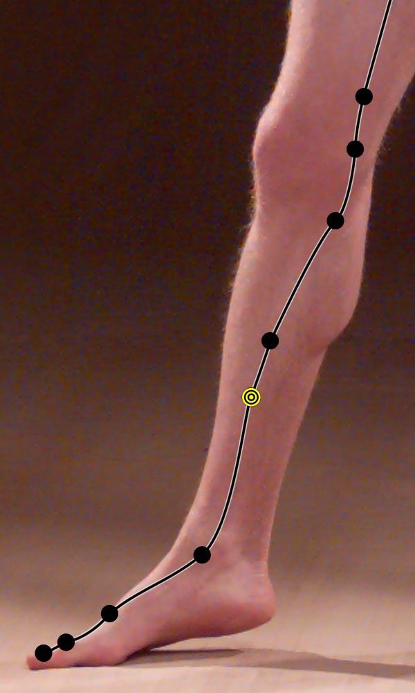 LR 5: Li Gou (Woodworm Canal) Location: 5 cun superior to the tip of the medial malleolus, In a depression just posterior to the medial crest of the tibia. Attributes: Luo point of the Liver channel.
