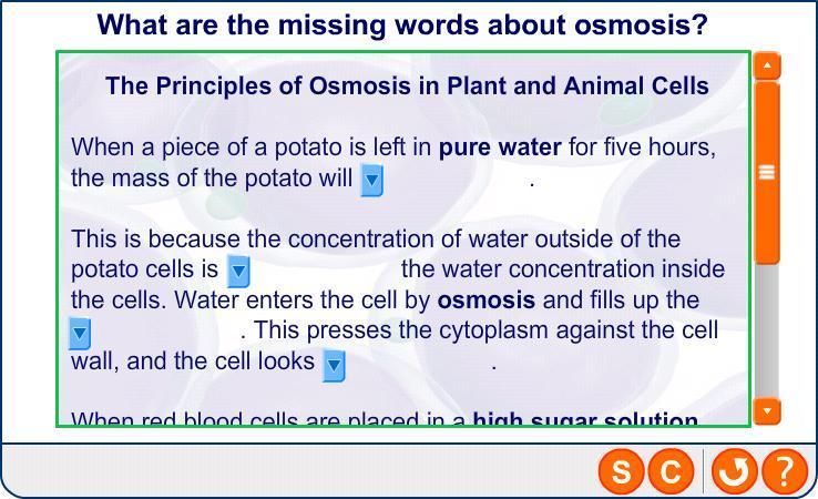 Osmosis: summary 16 of