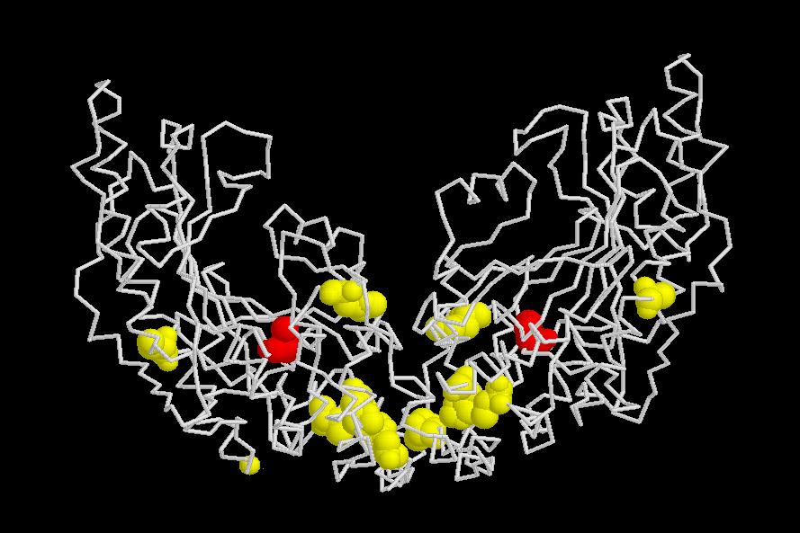 % of unmodified hck-bb activity 3/8/2012 Crystal structure of CK-BB showing the E adducts at active-site and non-active-site residues detected at 30 M 4E.