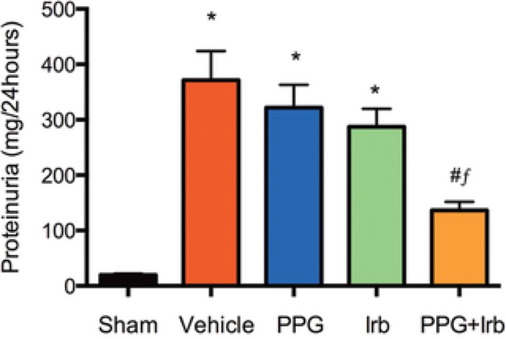 Simultaneous blockade of AT1R & CCR2 Reduced proteinuria Sham Vehicle PPG IRB PPG+ IRB