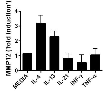 Supplementary figure S9. Thioglycollate-elicited mouse peritoneal macrophages were seeded at a concentration of 0.