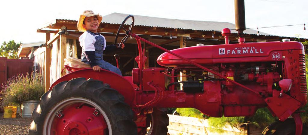 Gregory, 5 brain tumor I wish to be a tractor driver Photo credit: Jeffrey Mercado RECRUITMENT TIPS 7. Register online at walkforwishesstl.com. Make fundraising easy!