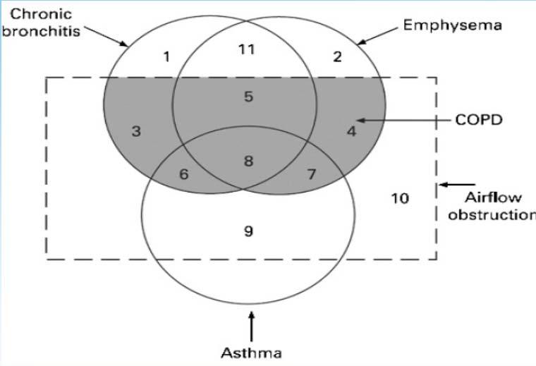 The Overlap Between Asthma and COPD Traditional View Am J Respir Crit Care Med.