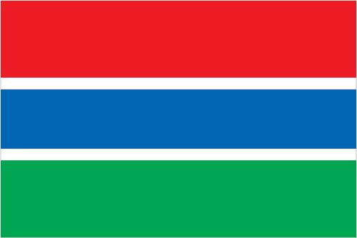 Delving deeper: the stories behind the numbers Case countries & their introduction timelines The Gambia DTP/Hib
