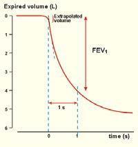 Additional Spirometric Indicies VC - A volume of a full breath exhaled in the patient s own time and not forced.
