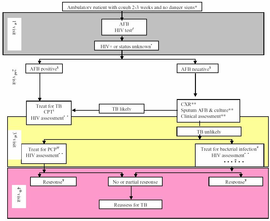 WHO algorithm for diagnosis of TB in
