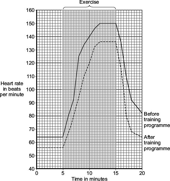 Q2. An athlete did a 6-month training programme. The graph shows the effect of the same amount of exercise on his heart rate before and after the training programme.