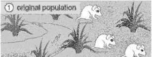 Allopatric speciation Geographic isolation