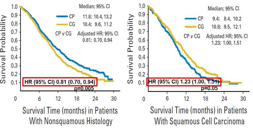 PEM/CIS VS GEM/CIS IN-1 ST LINE NSCLC OS ACCORDING TO HISTOLOGY (SQ VS.