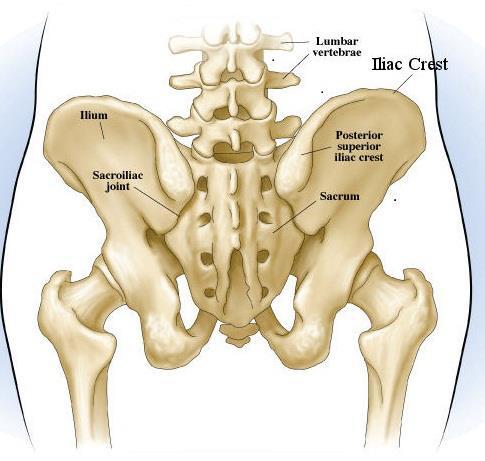 Sources of Hip pain Related to the hip Intra-articular