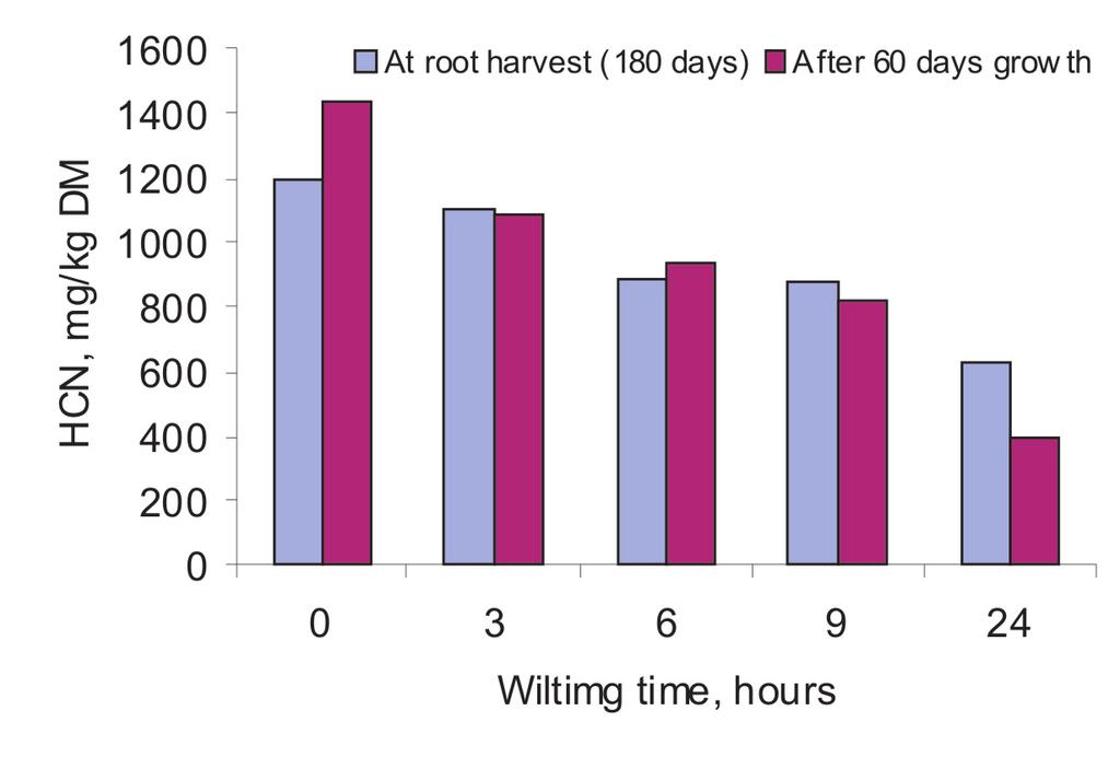 Figure 1: Variation in DM and HCN in cassava leaves, from mature and immature plants, analysed immediately or after wilting 3, 6, 9 and 24 hours Feed intake of fresh cassava leaves by pigs.