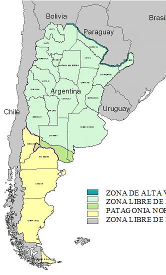 FMD IN ARGENTINA EPIDEMIOLOGICAL STATUS: - Free with vaccination - Free without vaccination OIL-based vaccines, local producers Four