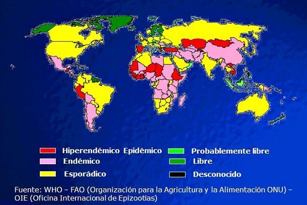 Bovine anthrax: a global issue