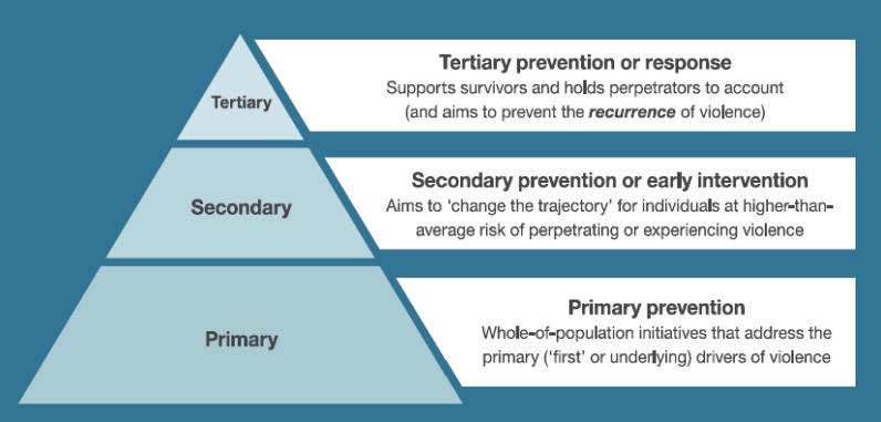 A primary prevention approach Primary prevention initiatives in the prevention of violence against women are those that seek to prevent violence before it occurs.