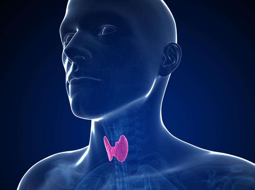 The facts and figures of thyroid disorders What is the thyroid gland? The thyroid gland is a butterfly-shaped endocrine gland that sits at the lower front of the neck.