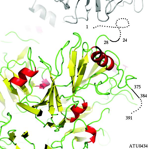 Supplementary Figure 1i Ribbon representation of ATU0434.