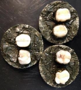 Each tooth was de-coronated and then sectioned so buccal and palatal / lingual surfaces