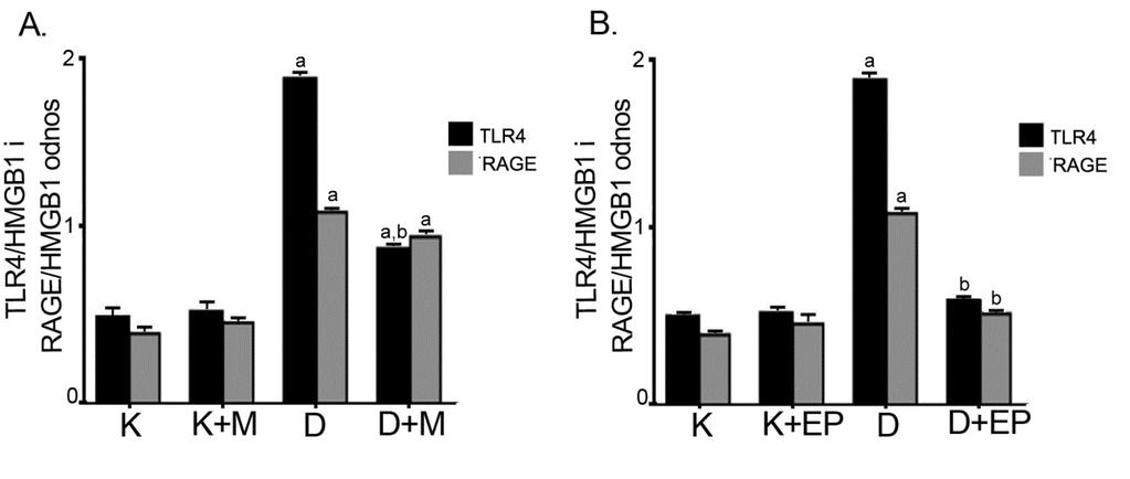 Kod dijabetičnih pacova i ako dolazi do disocijacije Bcl-2 proteina sa Beklin1 aktivirana kaspaza 3 seče Beklin1 na apototske fragmente čime se gubi sposobnost ovog proteina da aktivira formiranje