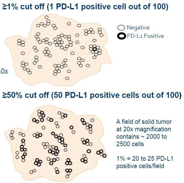 Scoring guidelines PD-L1 22C3 from DAKO All viable tumor cells on the entire slide must be evaluated Minimum of 100 viable tumor cells Determine percentage of