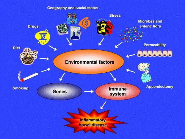Impact of environmental factors on IBD pathogenesis.