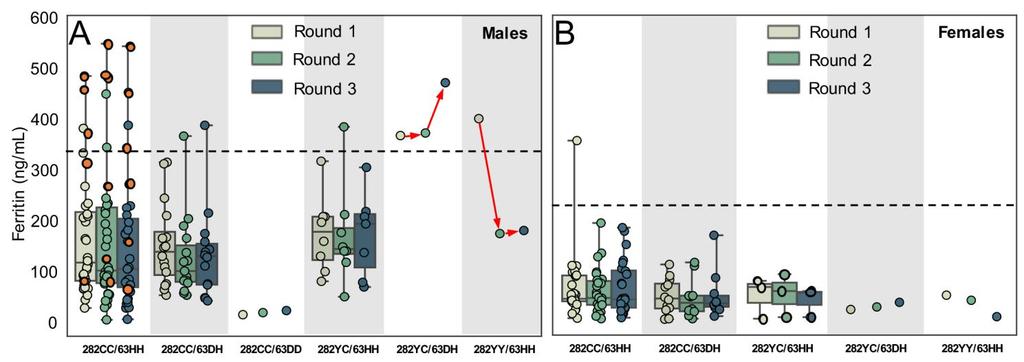 Supplementary Figure 4 Genetic risk factors for hemochromatosis and ferritin levels Boxplots for ferritin levels of male (A) and female (B) participants by round in the P100.