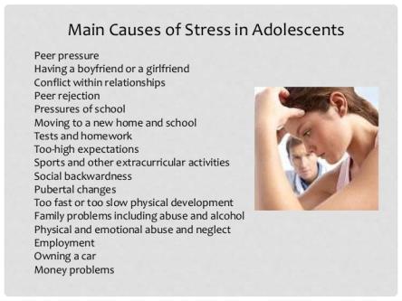1. A stressor is the cause of stress.