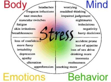 physically if you were facing a stressor?