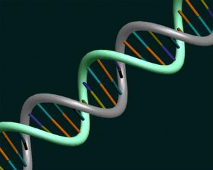 DNA Deoxyribonucleic acid (DNA) is special because it has the
