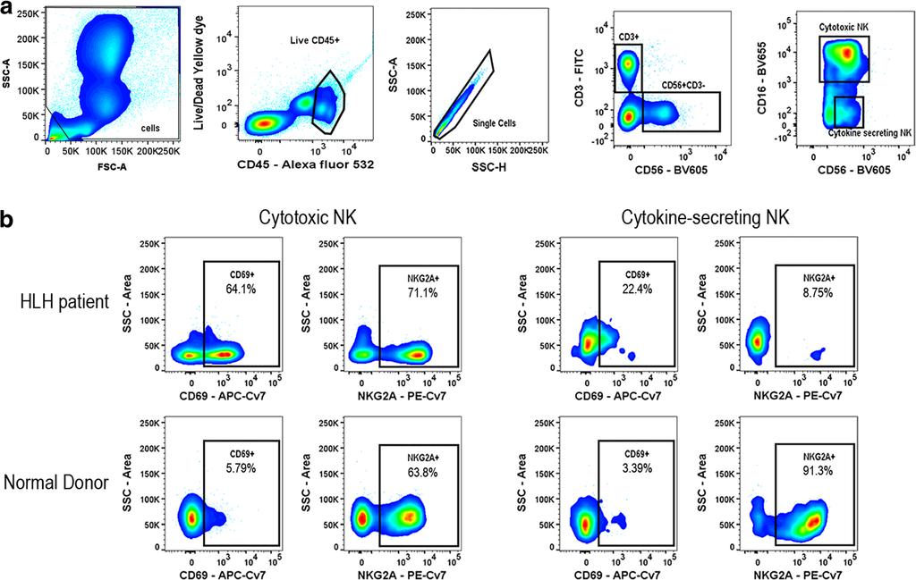 Hust et al. Journal of Medical Case Reports (2017) 11:172 Page 3 of 5 cytotoxic NK cells, and decreased NKG2A in cytokineproducing NK cells in our case.
