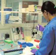 Haemochromatosis Candidate Gene Mutations Antibody Detection Educational Scheme HLA-B*57 UK NEQAS for Microbiology Immunity Screen (for CMV testing) Blood Borne Virus